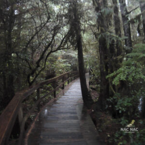 Walking Path